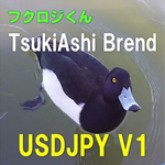 フクロジくん TsukiAshiBrend USDJPY V1